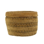 Makah Polychrome Lidded Basket c. Turn of the Century, 2.5" x 3.75" (SK3530)