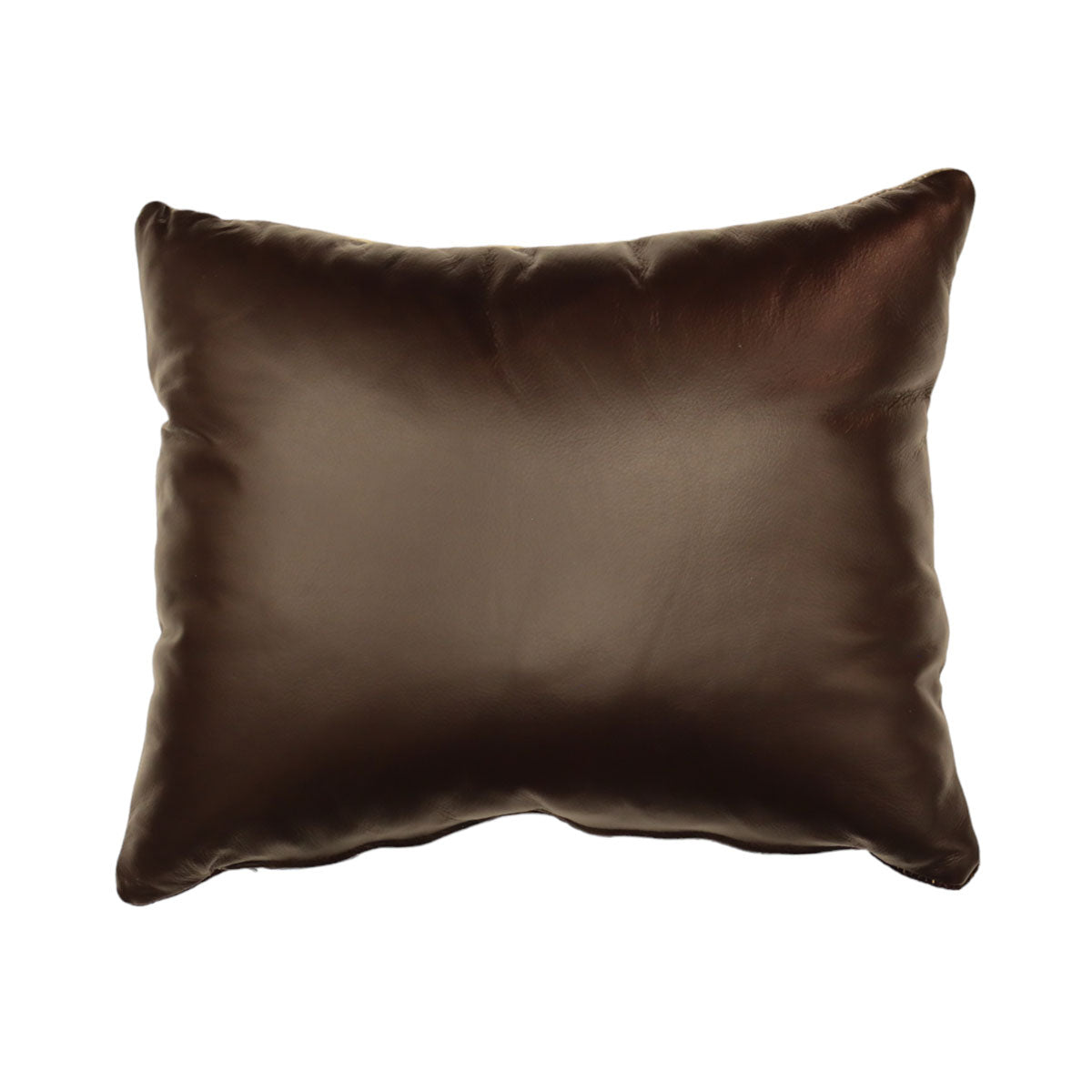 Custom Leather Pillow with c. 1910s Navajo Textile Inlay, 21