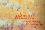 Clarence A. Ellsworth (1855-1961) - Pine Ridge Reservation (PDC90105-0623-016)
