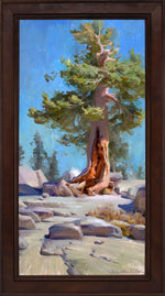 Jordan K. Walker - Yosemite Pine