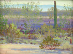 Albert Schmidt (1885-1957) - Arizona Desert Landscape
