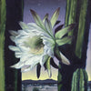 SOLD Whitney Gardner - Welcomed...
