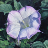 SOLD Whitney Gardner - Awake