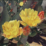 Whitney Gardner - Golden Nopales