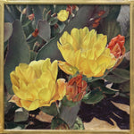 Whitney Gardner - Golden Nopales