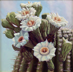 SOLD Whitney Gardner - Sonoran Spring