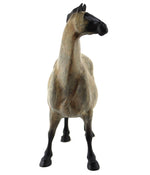 Star Liana York - Sassy 14", Edition of 50