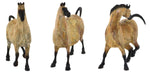 Star Liana York - Set of 3: Rock Art Mares, Edition of 50
