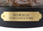 Star Liana York - Homage to DaVinci, Edition of 50