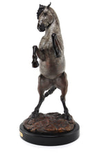 Star Liana York - Mare of the Renaissance, Edition of 35