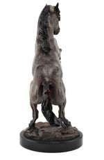 Star Liana York - Mare of the Renaissance, Edition of 35