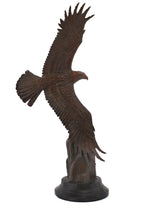 Star Liana York - Solo, Edition of 25