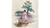 Estate Collections