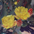 <big>Whitney Gardner:<i> Silent Reverence</i></big>