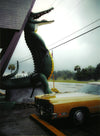 Nathan Benn - Alligator Parking,...