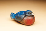Star Liana York - Blue Bird Vessel Top