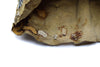 Sioux Beaded Leather Single Saddle/Teepee Bag c. 1890s, 20" x 22.5" (DW91963-0121-001) 10
