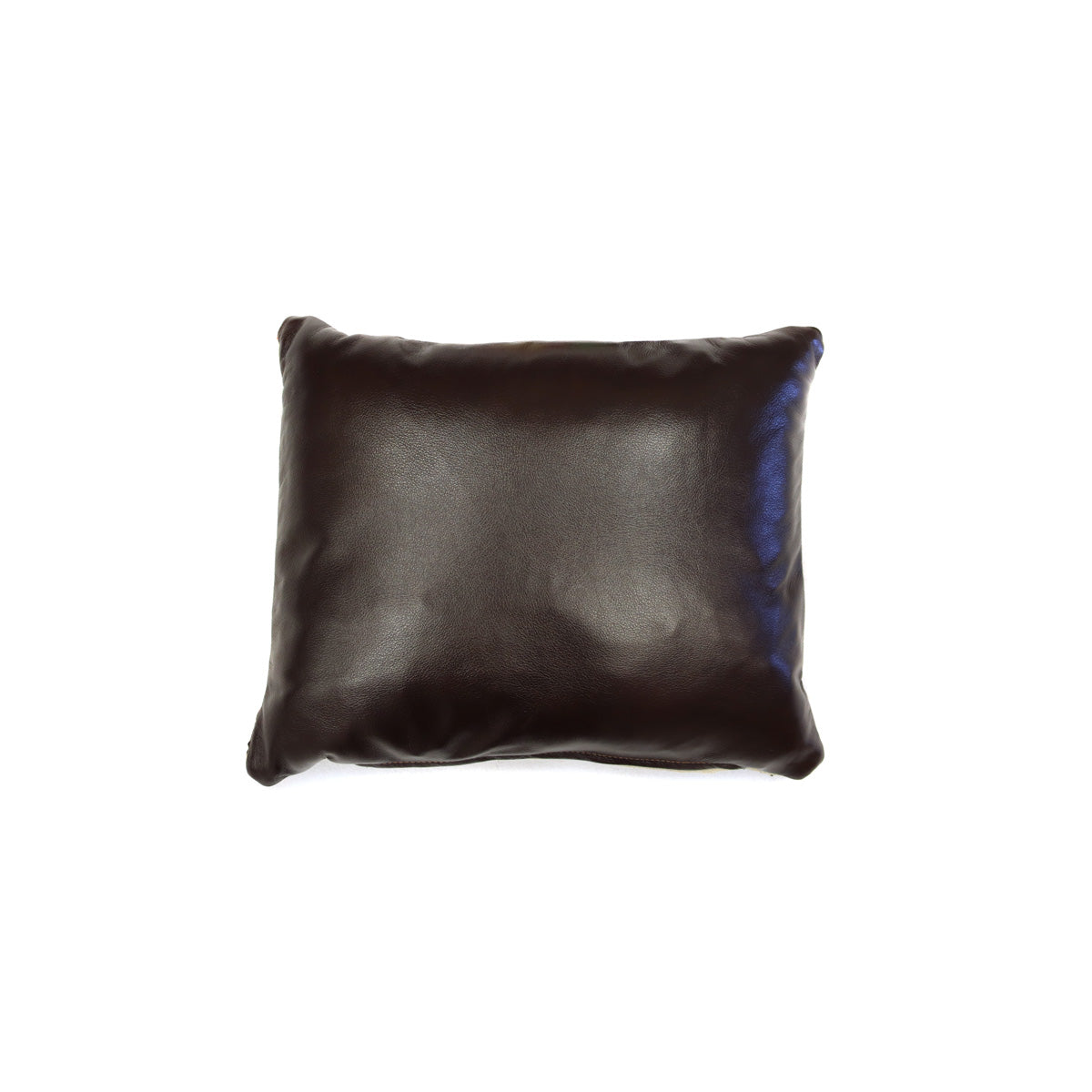 Custom Leather Pillow with c. 1920s Navajo Ganado Textile Inlay, 13" x 16" x 5" (F1460-004) 1