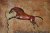 Star Liana York - Flying Horse III