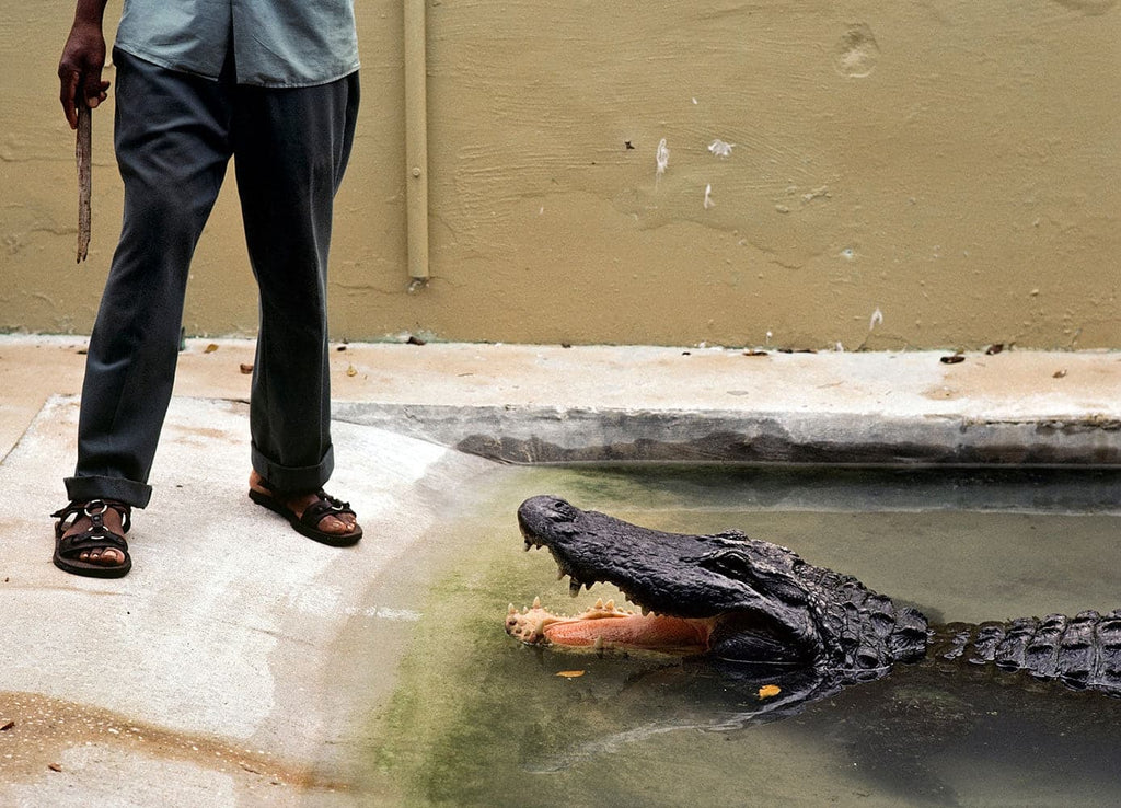 Nathan Benn - Gator Legs, St. Augustine, Florida, 1981