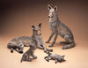 Star Liana York - Coyote Family