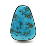 Darryl Edwards - Contemporary Non-native Turquoise and Sterling Silver Ring, size 11.5 (J12182)

