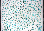 Turquoise Cabochons, 6,220 Carats (J13451-CO)20