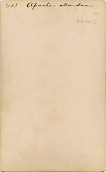 Ben Wittick (1845-1903) - Apache Indian Maiden Na-tu-ende, 1890, 7.5" x 4.5" (M1327)