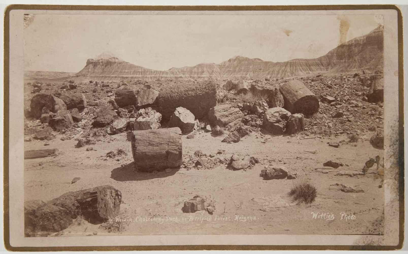 Ben Wittick (1845-1903) - View in Chalcedony Park, or Petrified Forest, Arizona