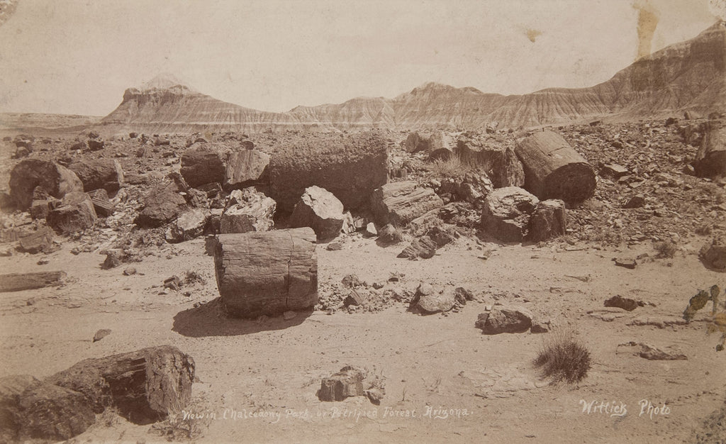 Ben Wittick (1845-1903) - View in Chalcedony Park, or Petrified Forest, Arizona