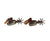 Pair of Chiricahua Spurs c....