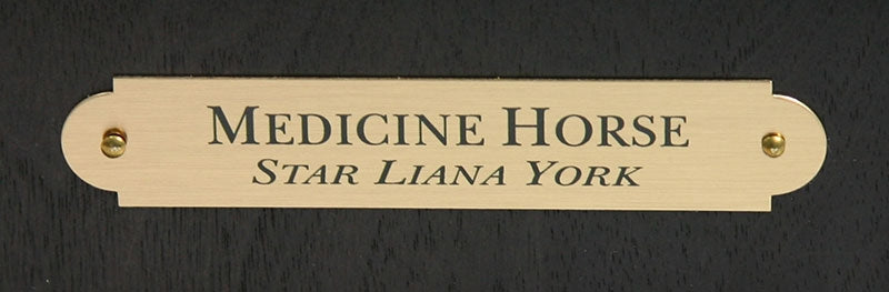 Star Liana York - Medicine Horse