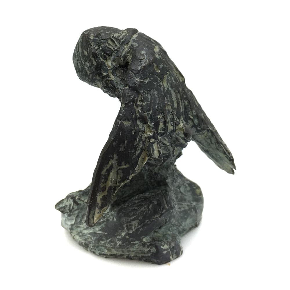 Mark Rossi Hummingbird Preening