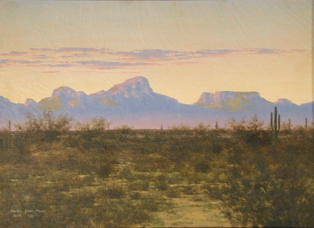 SOLD Audley Dean Nicols - Tucson Mountains (Near Indian Oasis, AZ)