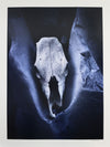 Dan Budnik (1933-2020) - Horse Skull, St. Elena Canyon, Big Bend National Park; Texas, 1974 (PDC90211C-0121-010) 4
