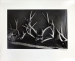 Dan Budnik (1933-2020) - Georgia O'Keeffe, Deer Antlers on Shelf (PDC90211C-0121-018) 2
