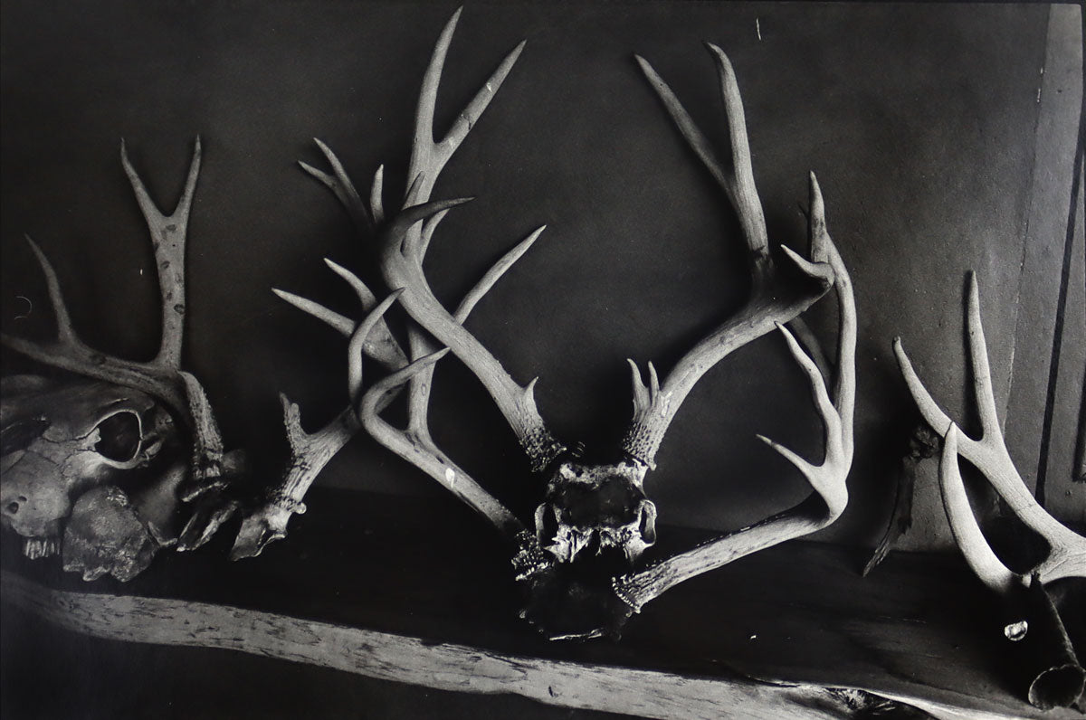Dan Budnik (1933-2020) - Georgia O'Keeffe, Deer Antlers on Shelf (PDC90211C-0121-018)

