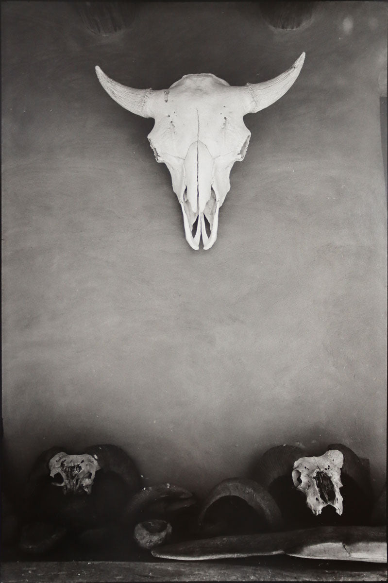 Dan Budnik (1933-2020) - Georgia O'Keeffe's Ghost Ranch Patio Portal, Buffalo Skull; October 1972 (PDC90211C-0121-019)
