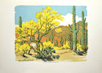 Norma Bassett Hall (1888-1957) - Desert in Bloom at Westward Look