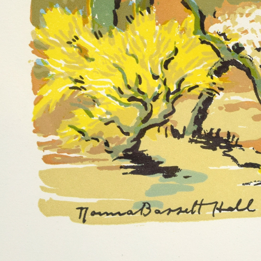 Norma Bassett Hall (1888-1957) -  Desert in Bloom at Westward Look (PDC91954C-0419-003)