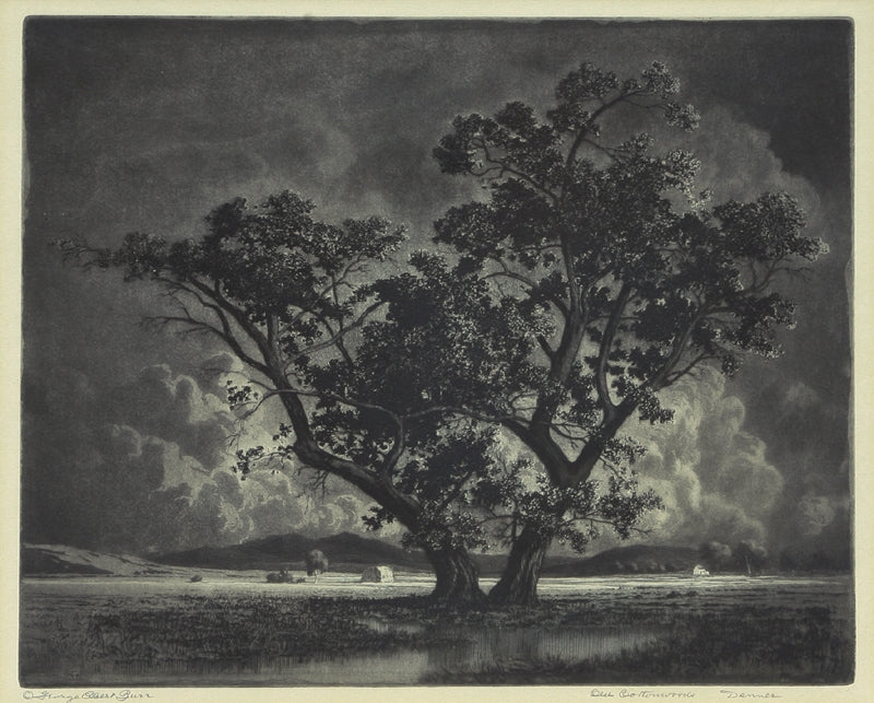 SOLD George Elbert Burr (1859-1939) - Old Cottonwoods
