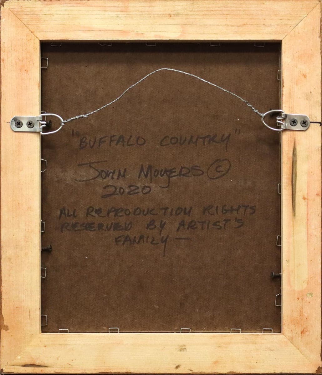 John Moyer - Buffalo Country (PLV1359)2
