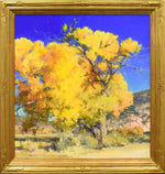 x SOLD - Jill Carver - Canyon Cottonwood