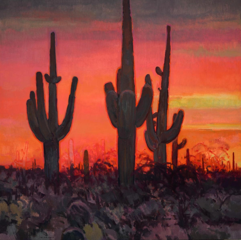 Jill Carver - Saguaro Sunset (PLV90335B-0322-004)
