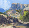 James Cook - Aravipa Canyon Study
