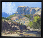 James Cook - Aravipa Canyon Study 2
