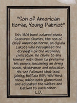 Lisa Danielle - Son of American Horse, Young Patriot (PLV90426-1122-001) 4