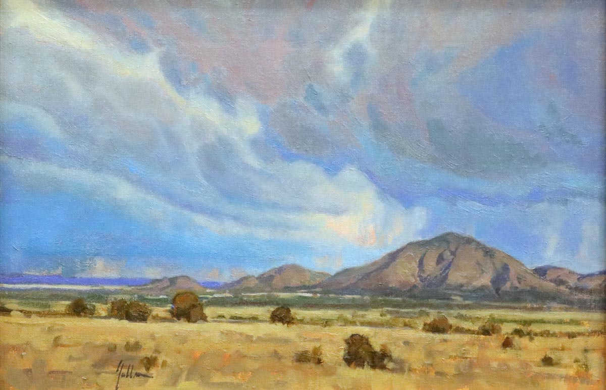 Bill Gallen - Rain in the Desert (PLV90713-0223-012)
