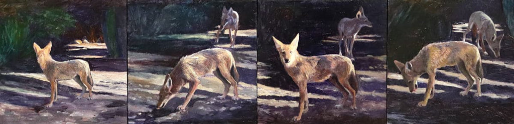 Moira Marti Geoffrion - Coyote on the Prowl (PLV90762-0422-003)