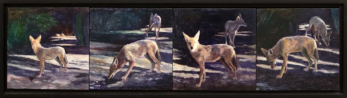 Moira Marti Geoffrion - Coyote on the Prowl (PLV90762-0422-003) 2